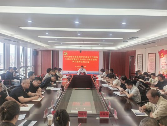 市商务局召开党的建设工作领导小组会议暨树立和践行正确政绩观学习教育总结会议